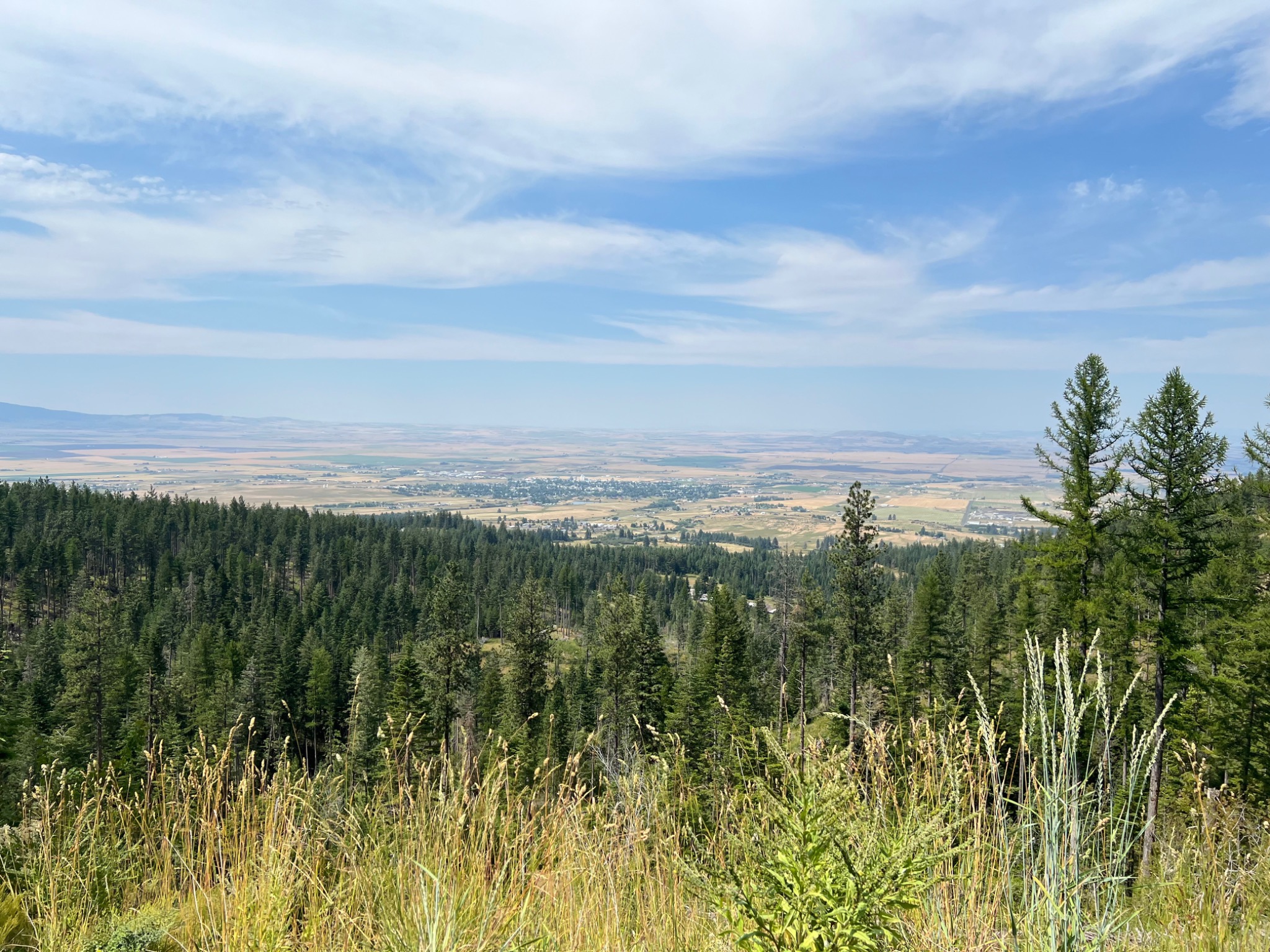 Grangeville and the Camas Prairie viewed from the forested hills